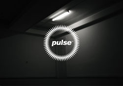 Szigeti G. Csongor: PULSE (Villanások)