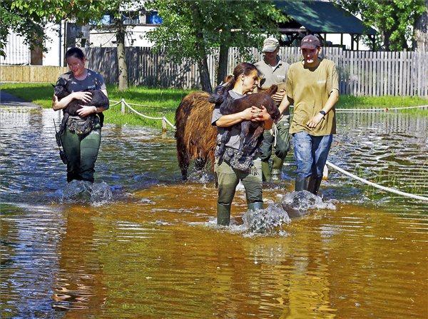 Állatokat mentenek a győri állatkertből