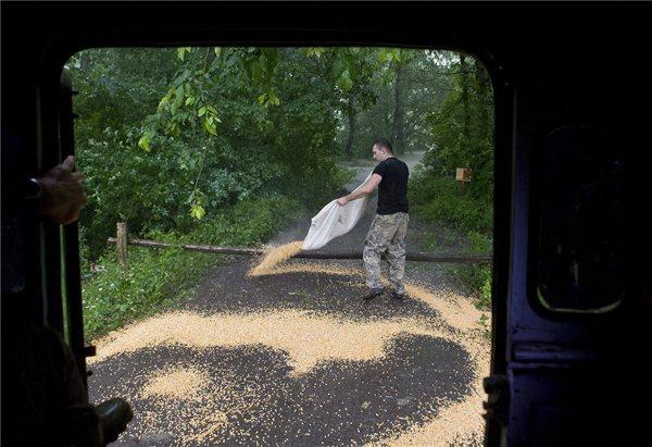 Biztonságos helyre terelik a vadállományt takarmány kiszórásával