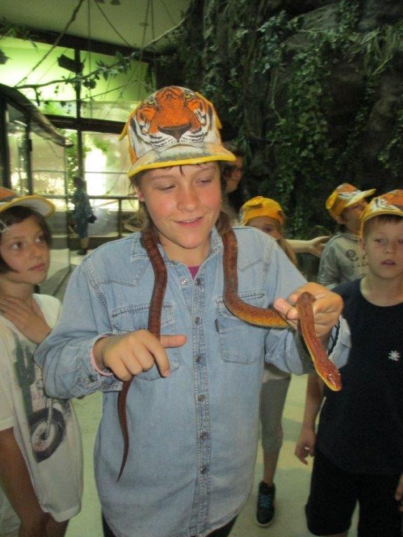 kigyoslany_IMG_1466_kicsi