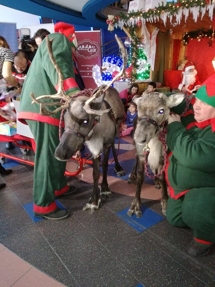 15218538_10207753378019005_2041258736_n