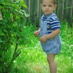 gyermeknevelés, anya-gyermek kommunikáció, dackorszak, hiszti gyermeknevelés, anya-gyermek kommunikáció, dackorszak, hiszti