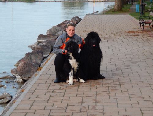 nő két fekete kutyával