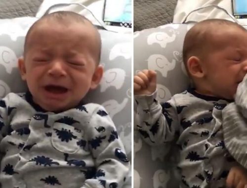 síró kisbaba dínós ruhában