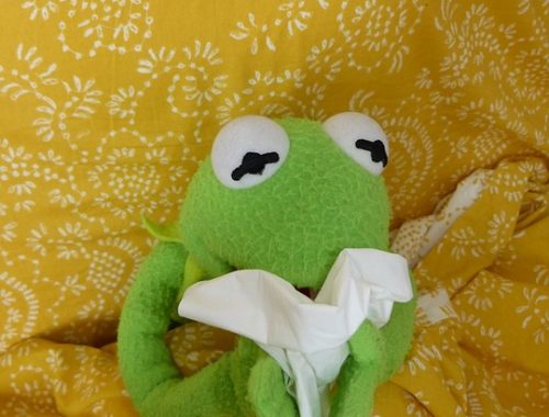 orrát fújó béka bábú