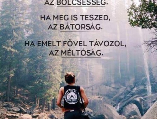 idézet erdővel és kiránduló nővel