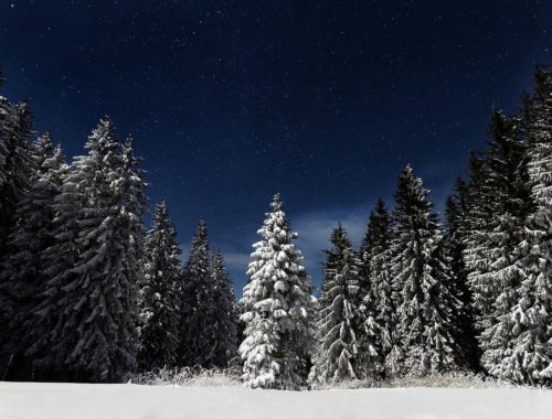 éjszakai téli fotó