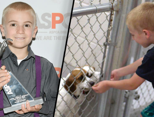 kisfiú menhelyi kutyusokat etet