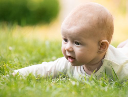 kisbaba fekszik a fűben