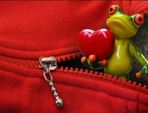 műanyag béka egy cipzárral és szívvel a kezében