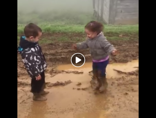videó két kisgyerekről