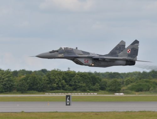 vadászrepülő a fák felett