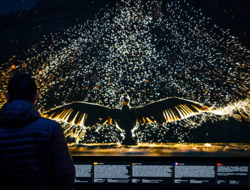 Bazilikánál elektromos tábla