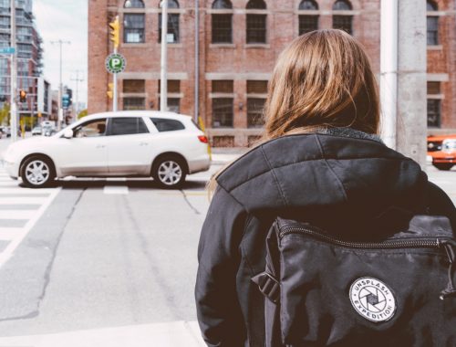 zebra, gyalogátkelő