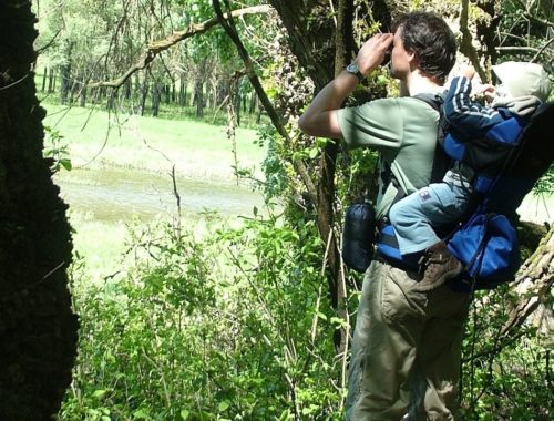 túra gyerekkel, természet