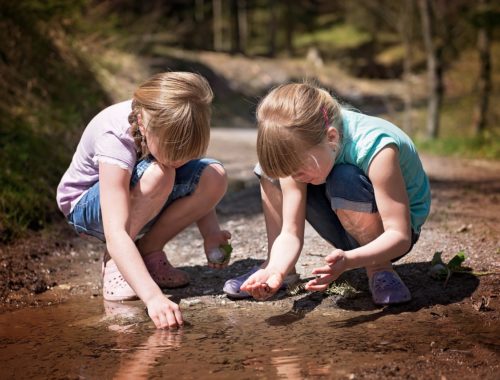 ikrek a természetben