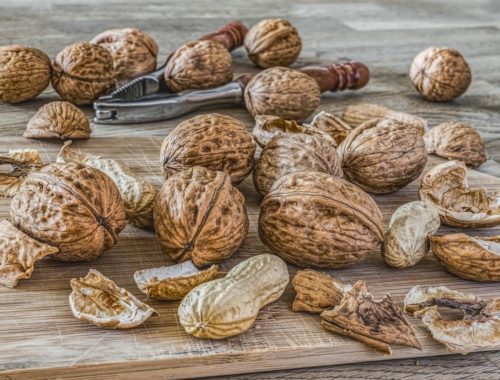 dió, földimogyoró, diótörő