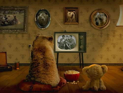 plüssmackó és medve TV-t néznek