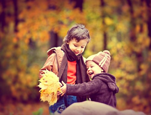 két kisfiú játszik a falevelekkel