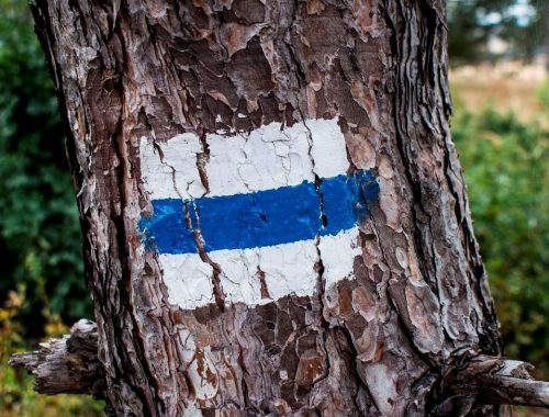 kéktúra útvonal jelzése