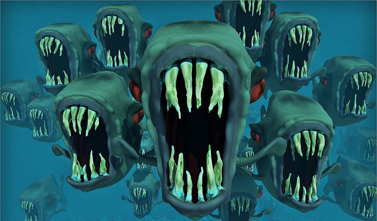 rajz piranhakról