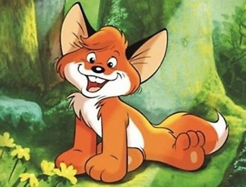 Vuk - vörös kisróka