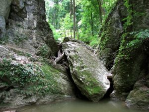 Bakony - szurdoktúra