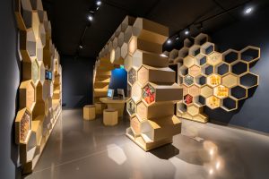 Kis-Balaton látogatóközpont