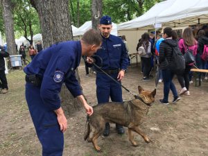 Érdi SZC Kós Károly Technikum - Közszolgálati Technikus