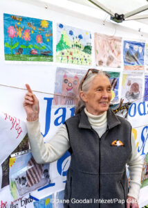 Fenntarthatósági Tankönyv