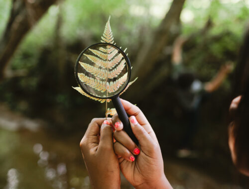 Fenntarthatósági Tankönyv