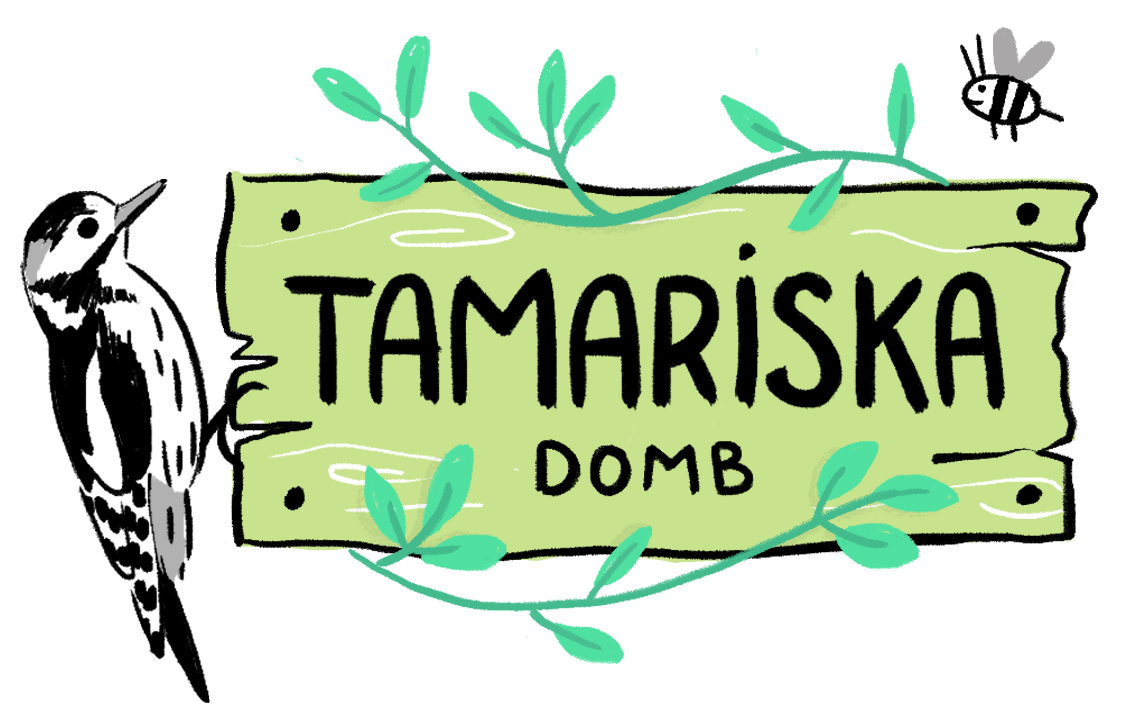 sweet escape - szabadtéri kincskeresés