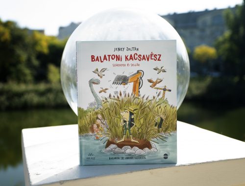 Balatoni kacsavész - könyv