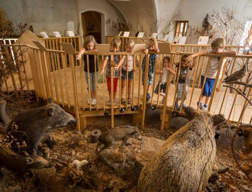 Nyári tábor a Lackenbachi-kastélyban