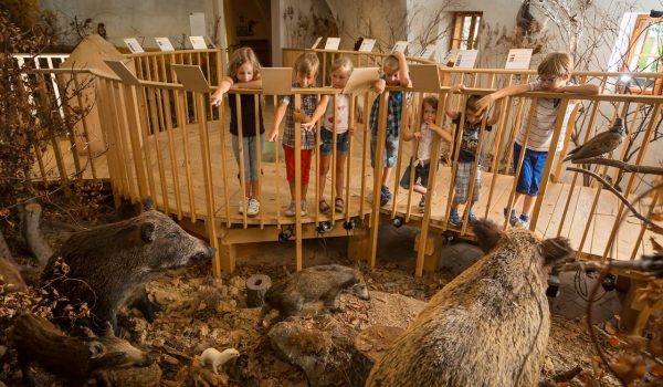 Nyári tábor a Lackenbachi-kastélyban