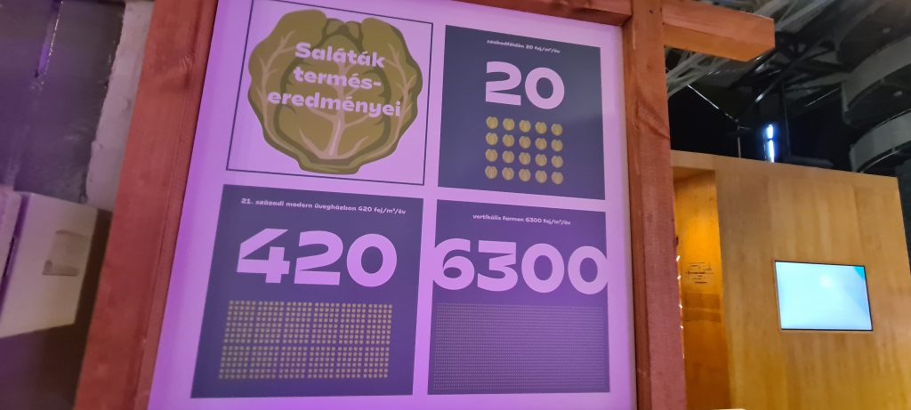 Álmok Álmodói 20 kiállítás