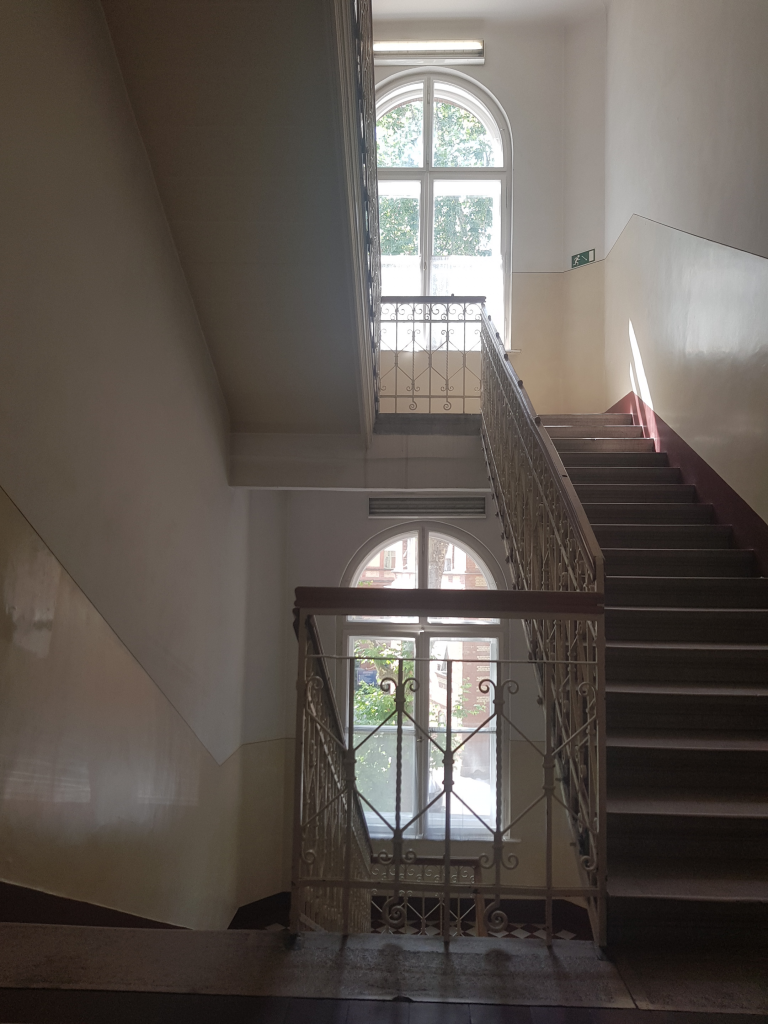 A PADON - apa születik