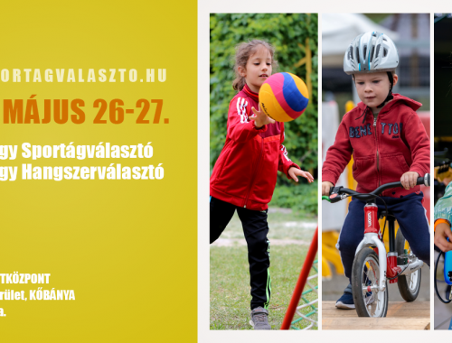 Budapesti Nagy Sportágválasztó és Nagy Hangszerválasztó