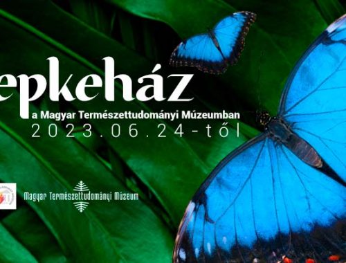 Magyar Természettudományi Múzeum trópusi lepkeháza