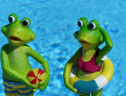 Egy osztálykirándulás margójára