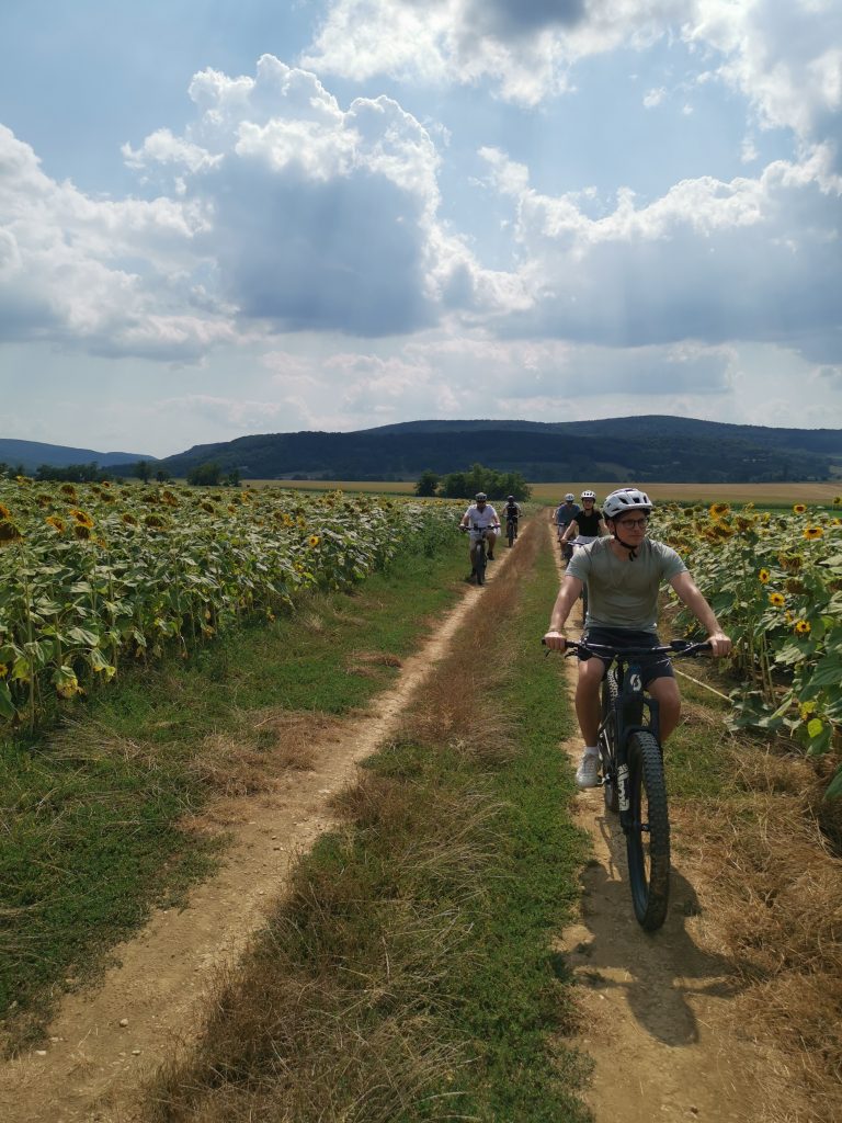 Aktív Völgy – napindító jóga, vezetett e-bike túrák a Balaton-felvidéken, futóverseny, tanösvény gyalogtúrák – sportosan a Művészetek Völgyében is