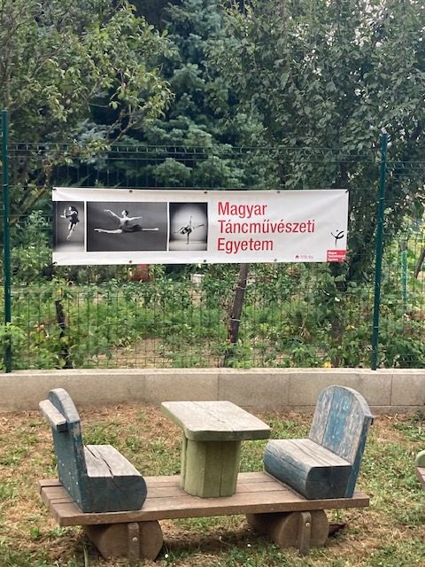 A létezés és a kapcsolódás csodája a Művészetek Völgyében