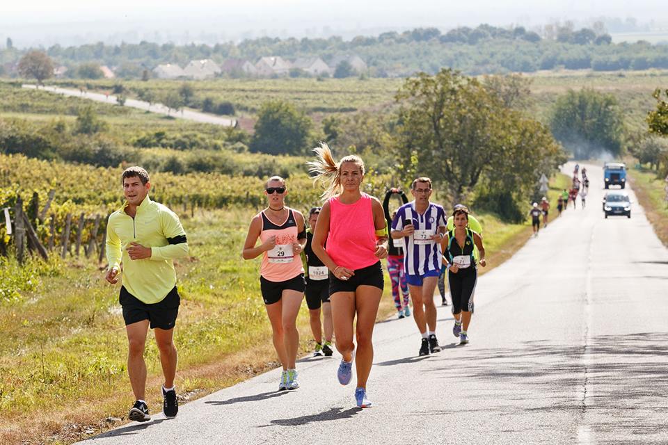Aktív Völgy – napindító jóga, vezetett e-bike túrák a Balaton-felvidéken, futóverseny, tanösvény gyalogtúrák – sportosan a Művészetek Völgyében is