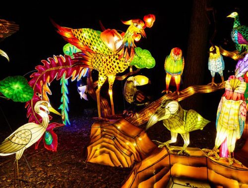 Színes programkavalkáddal vár mindenkit a Budapesti Állatkert az Állatkertek Éjszakáján!