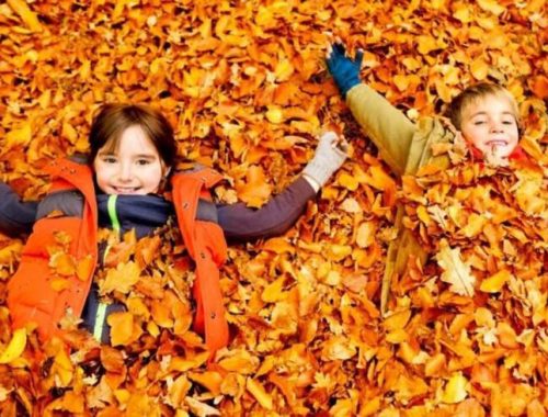 Őszi szünet programok