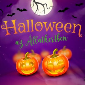 Október 25-én este Halloween az Állatkertben