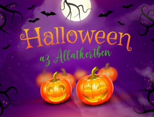 Halloween az Állatkertben