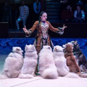 Karácsonyi csoda a Fővárosi Nagycirkuszban Karácsonyi csoda a Fővárosi Nagycirkuszban