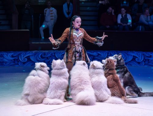 Fővárosi Nagycirkusz