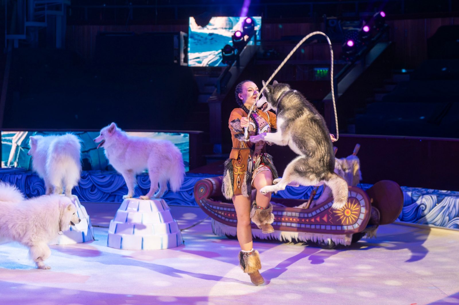 Fővárosi Nagycirkusz